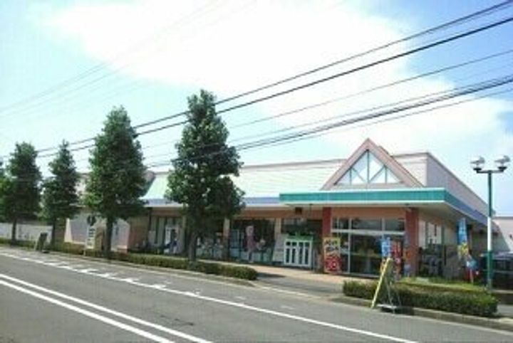 ブランド ラクーンAの周辺