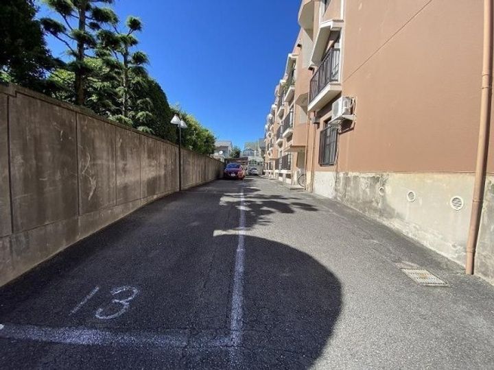 ドゥエル新蔵のその他画像