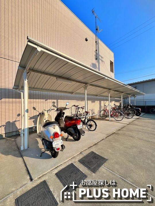 feliceのその他画像