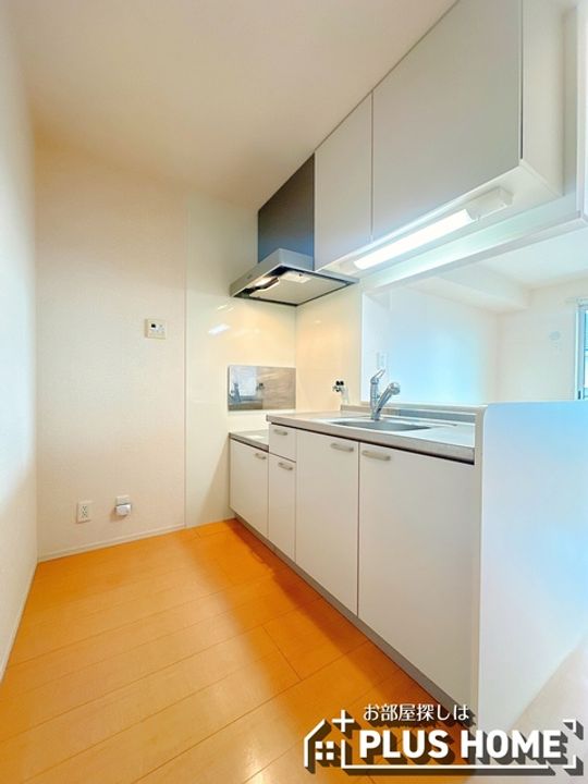 イソラフェリジェのキッチン