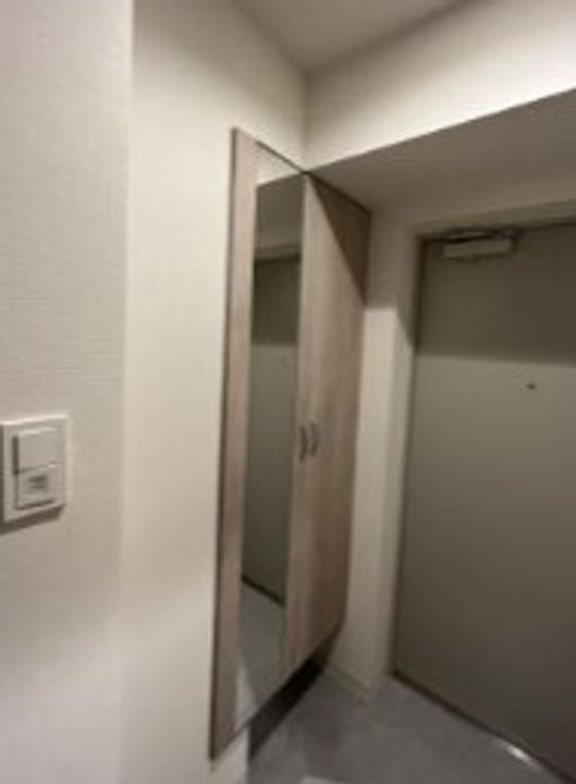 プラナ北上野の玄関