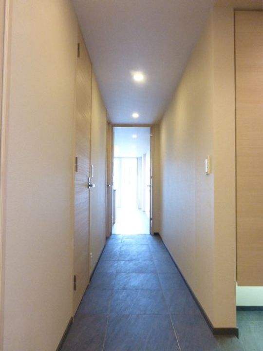 東京都港区南麻布1丁目(マンション)の賃貸物件の玄関
