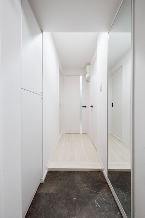 東京都中央区湊3丁目(マンション)の賃貸物件の玄関