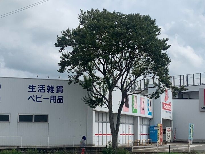 福岡県福岡市早良区次郎丸6丁目(マンション)の賃貸物件202の周辺