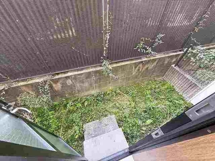 アンプルールフェール若草105のその他画像