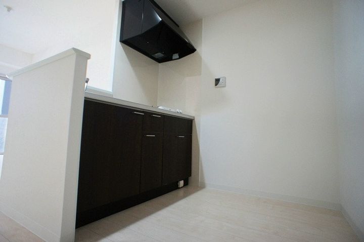 福岡県福岡市博多区東那珂3丁目(マンション)の賃貸物件403のキッチン