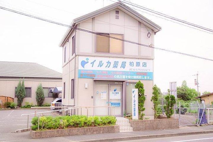 光I203の周辺