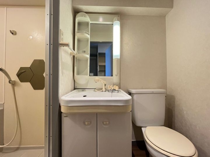 ヒッポエイト411のその他画像