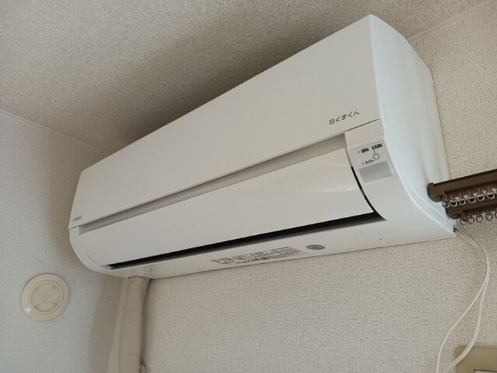 ベルシュラインのその他画像