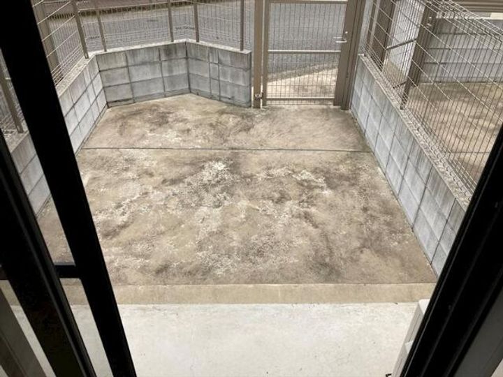 ベルメント平賀104のその他画像