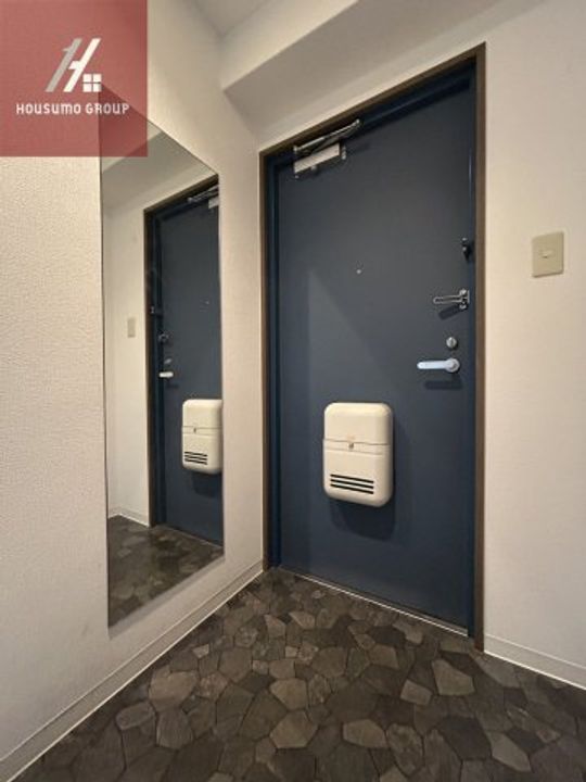 大阪府八尾市東太子1丁目(マンション)の賃貸物件305の玄関
