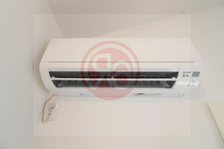 セリーナ田辺のその他画像