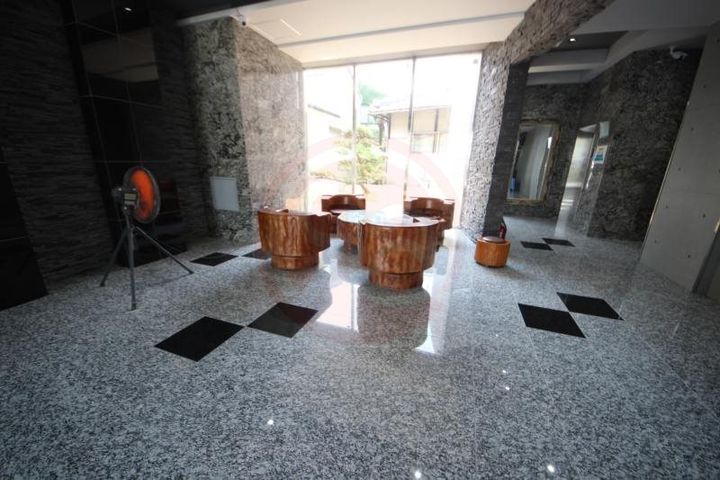 オリエンテムのその他画像