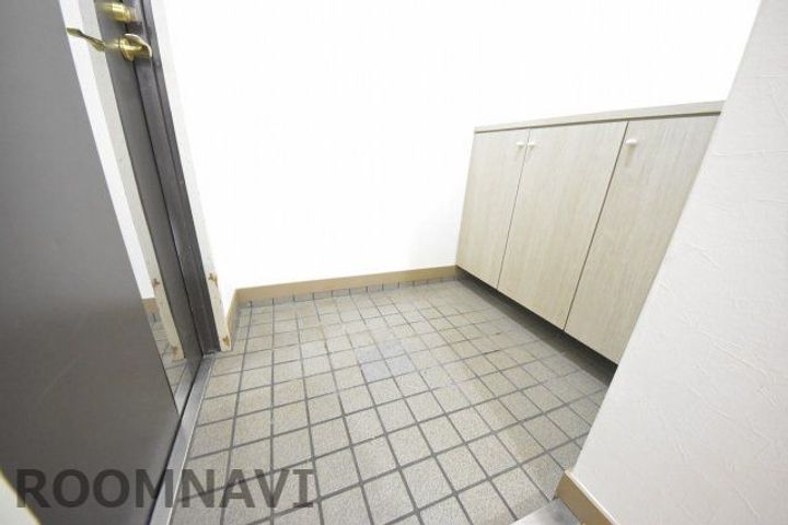 徳島県徳島市大道3丁目(マンション)の賃貸物件の玄関