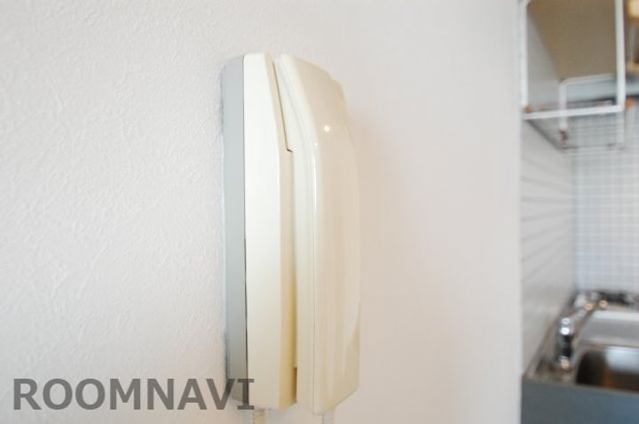 ロータスワゼルのその他画像