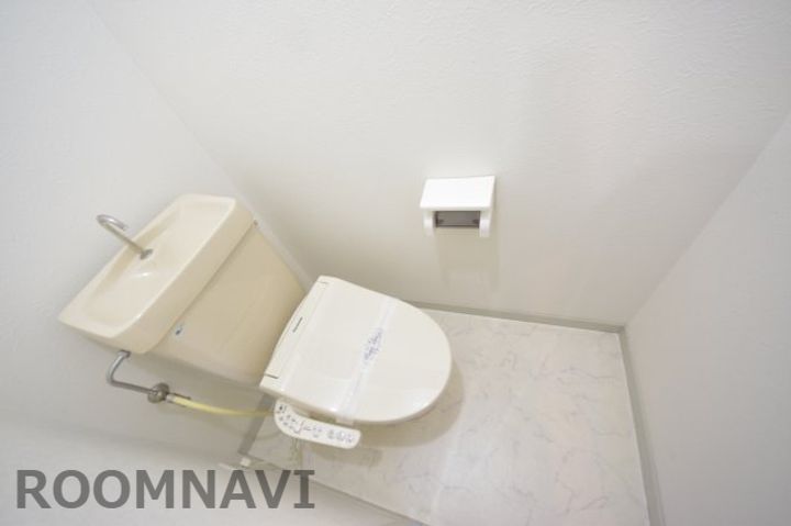 ロータスワゼルのその他画像