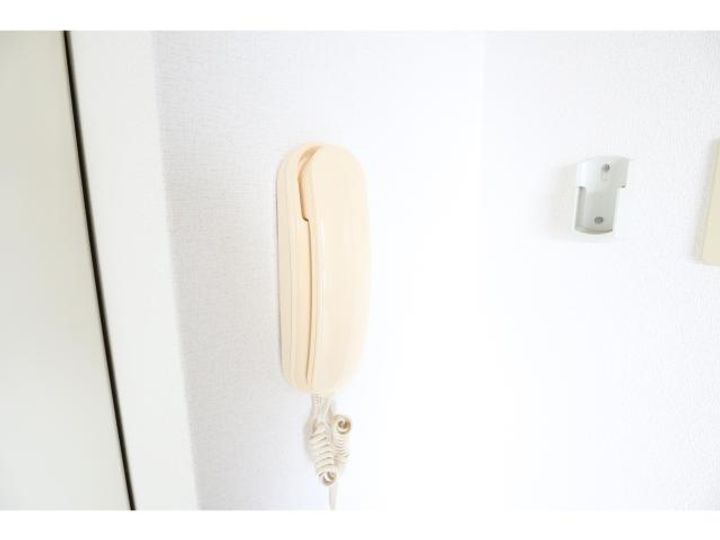 奈良県橿原市土橋町(マンション)の賃貸物件305のその他画像