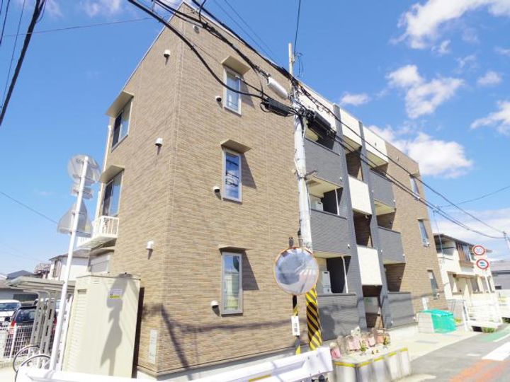 アプリコットの外観