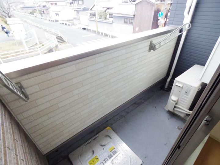 アプリコットのその他画像