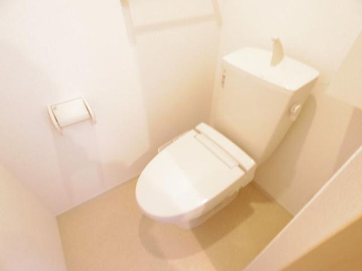 アプリコットのその他画像