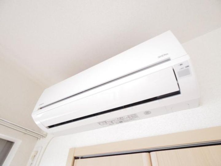 アプリコットのその他画像