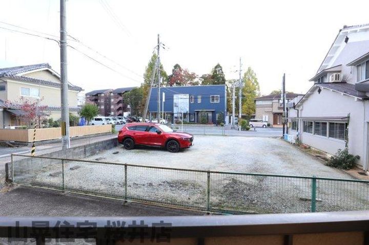 サンホワイト桜のその他画像