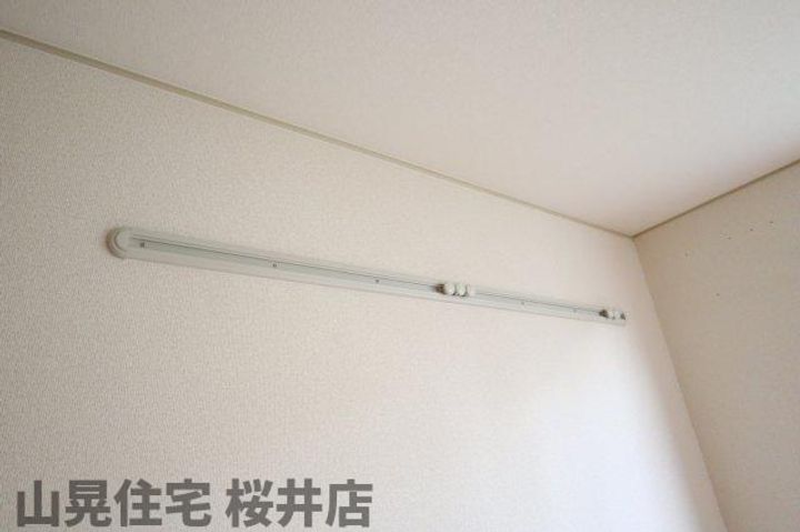 サンホワイト桜のその他画像