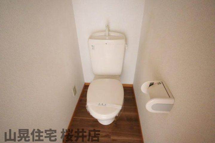 サンホワイト桜のその他画像