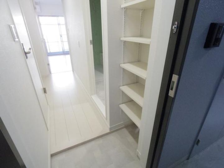 奈良県天理市川原城町(マンション)の賃貸物件の玄関