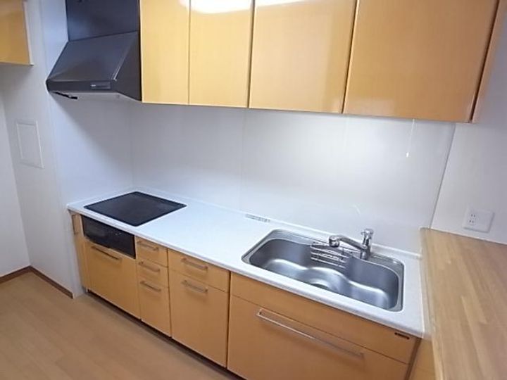 奈良県生駒市北新町(マンション)の賃貸物件のキッチン