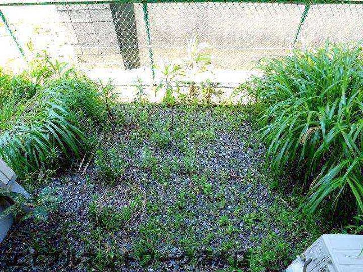 静岡県静岡市清水区折戸1丁目(アパート)の賃貸物件のその他画像