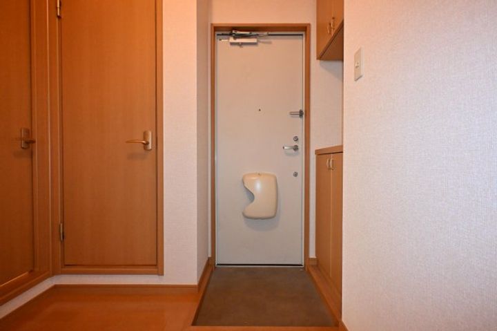 奈良県奈良市大安寺3丁目(アパート)の賃貸物件の玄関