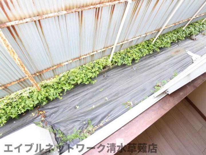 静岡県静岡市清水区草薙杉道3丁目(アパート)の賃貸物件1Dのその他画像