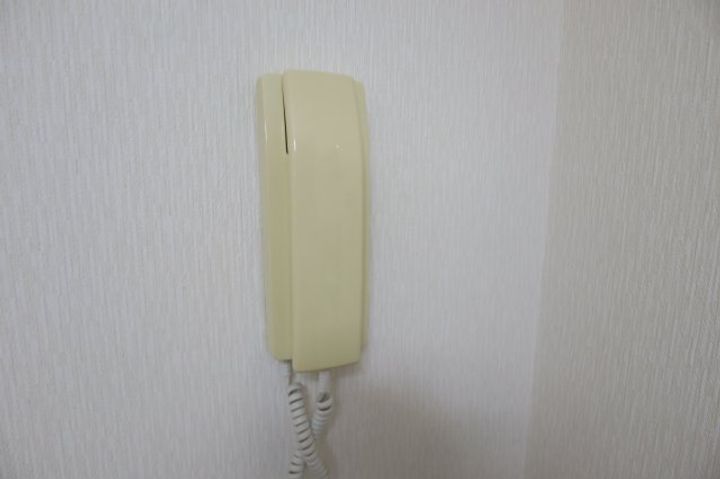 奈良県橿原市上品寺町(マンション)の賃貸物件206のその他画像