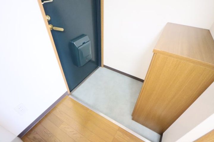 奈良県橿原市上品寺町(マンション)の賃貸物件206の玄関