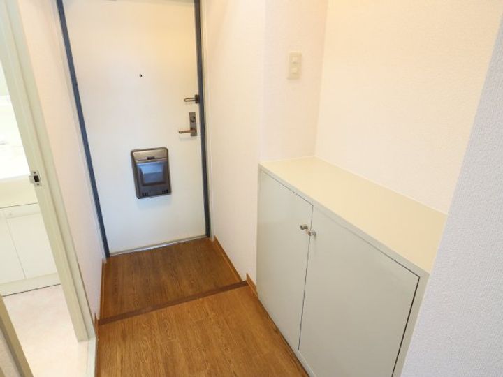 奈良県大和郡山市新町(マンション)の賃貸物件の玄関