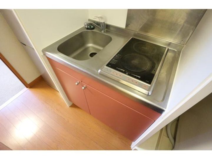 奈良県奈良市法蓮町(アパート)の賃貸物件202のキッチン