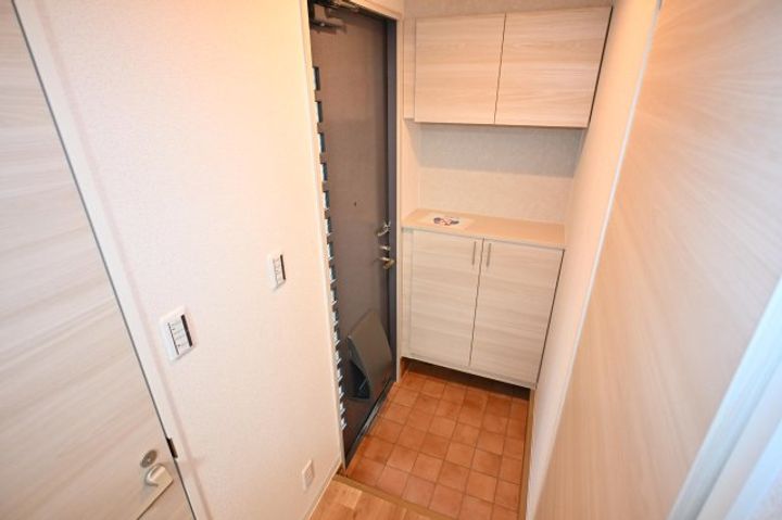 奈良県奈良市大安寺3丁目(アパート)の賃貸物件の玄関