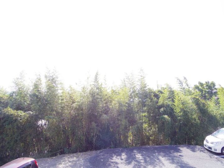 奈良県大和郡山市小泉町(マンション)の賃貸物件のその他画像