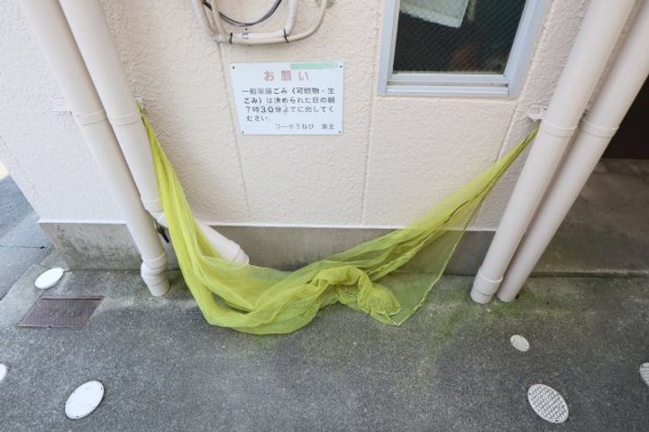 奈良県橿原市南八木町1丁目(マンション)の賃貸物件205のその他画像