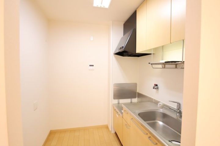 奈良県葛城市長尾(アパート)の賃貸物件201のキッチン