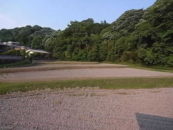 プロミネントのその他画像