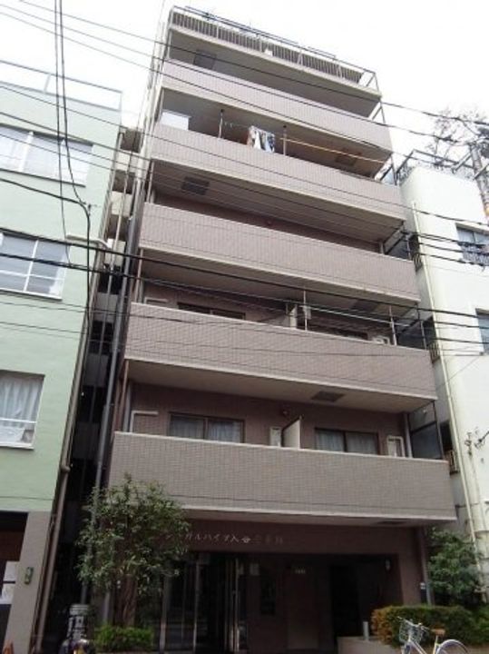 シーガルハイツ入谷壱番館の外観