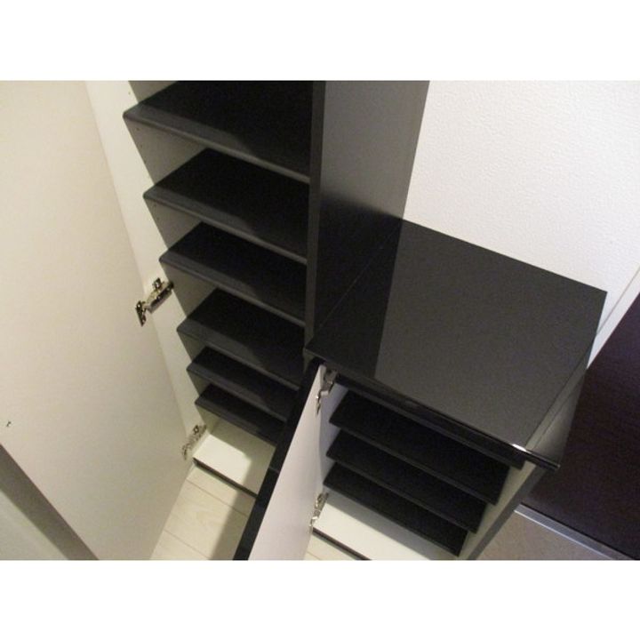 VILLA COURT CARROT6203の玄関