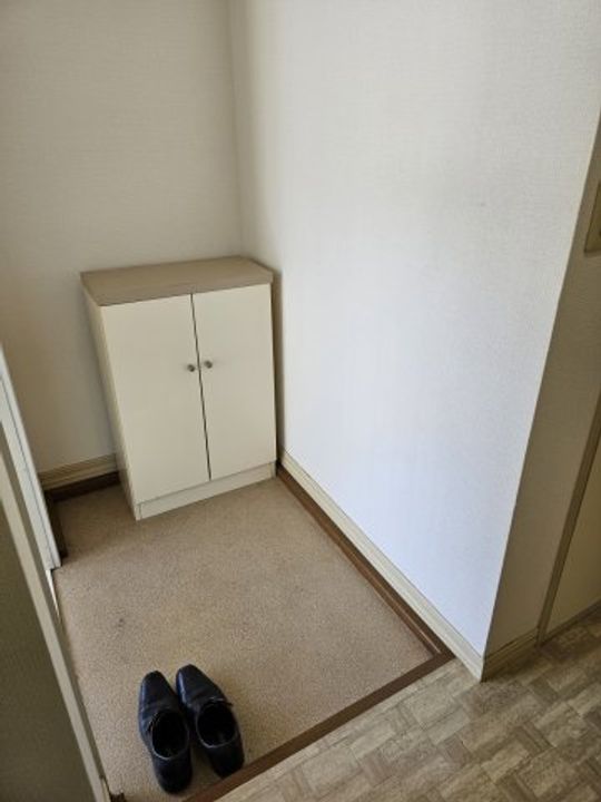 ハイツ正法寺の玄関