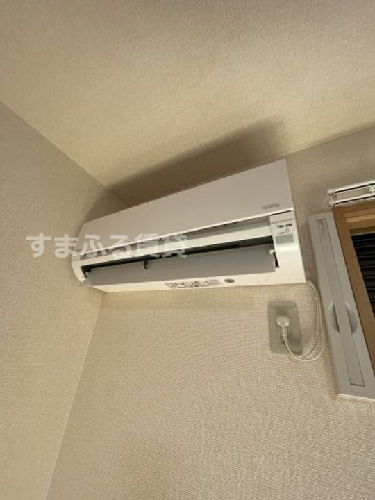 ロータスのその他画像