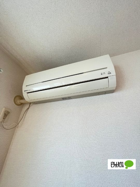 ビルロートのその他画像