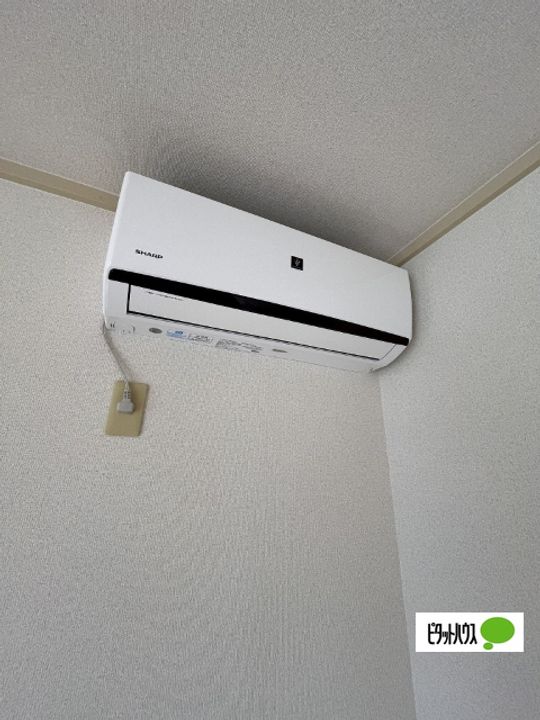 フレグランス秋桜のその他画像