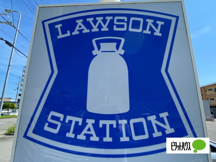 フレグランス秋桜の周辺