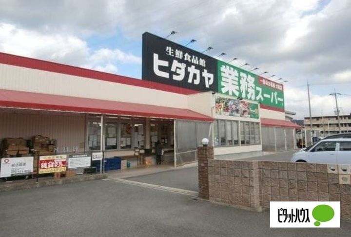 フレグランス秋桜の周辺